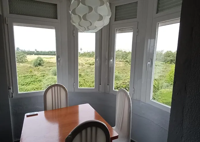 公寓 Urbanizacion El Palmar 德尼亚